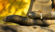 大安法师视频,深入解读佛教智慧与人生哲理